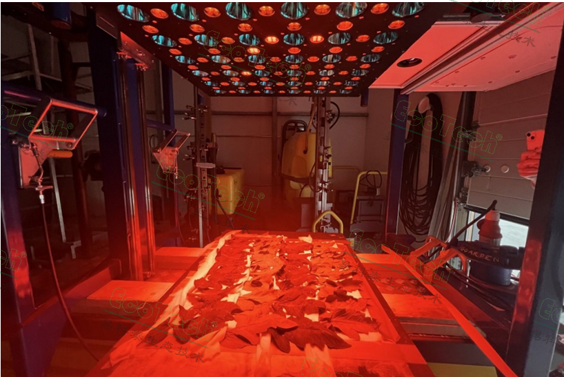 77779193永利官网(集团)有限公司