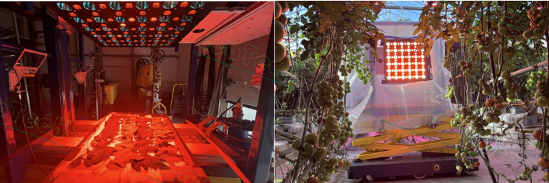 77779193永利官网(集团)有限公司