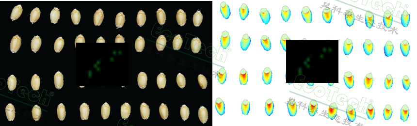 77779193永利官网(集团)有限公司