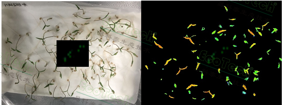 77779193永利官网(集团)有限公司