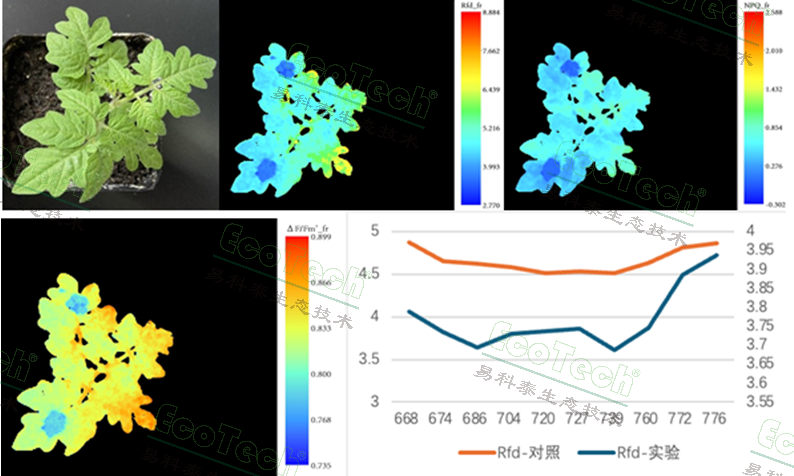 77779193永利官网(集团)有限公司