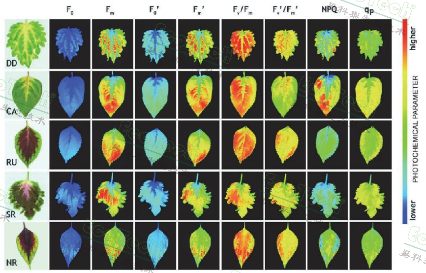 77779193永利官网(集团)有限公司