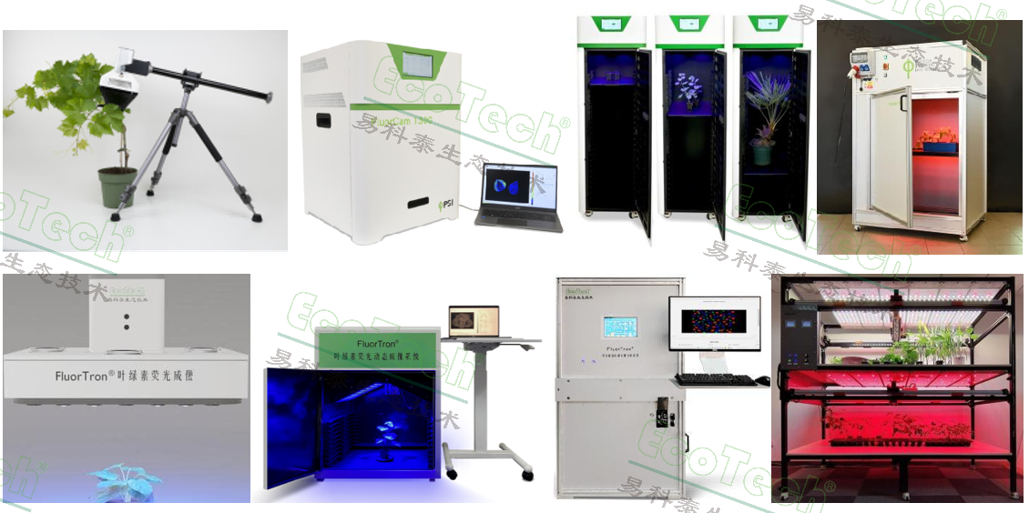 77779193永利官网(集团)有限公司