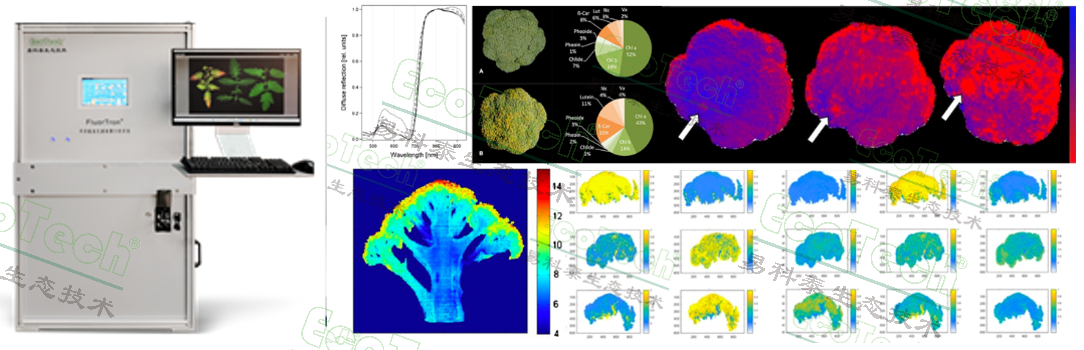 77779193永利官网(集团)有限公司