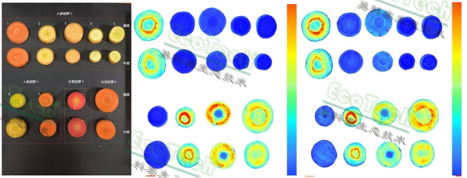 77779193永利官网(集团)有限公司