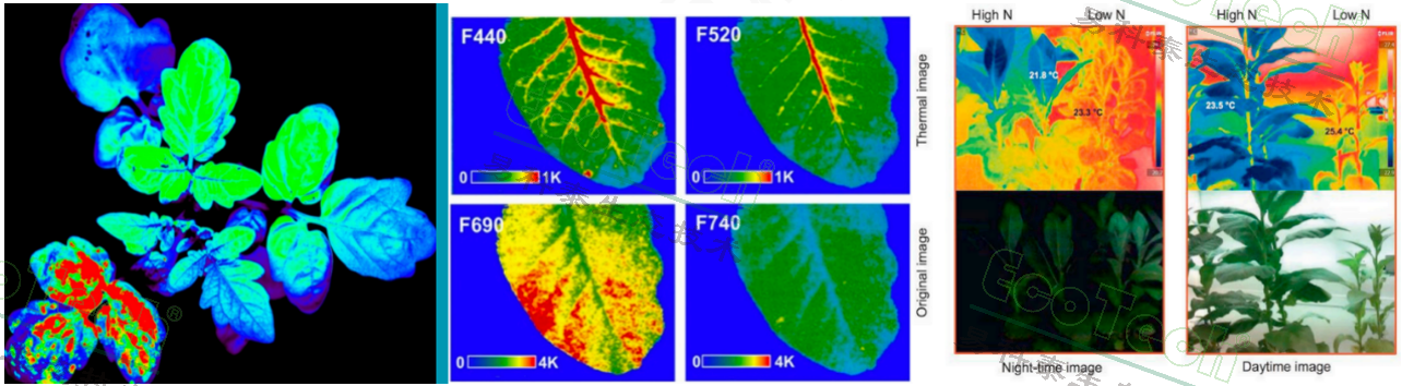 77779193永利官网(集团)有限公司