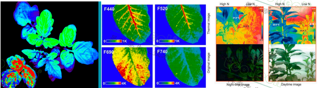 77779193永利官网(集团)有限公司