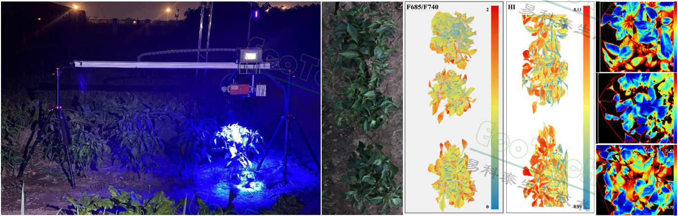 77779193永利官网(集团)有限公司