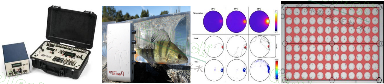 77779193永利官网(集团)有限公司