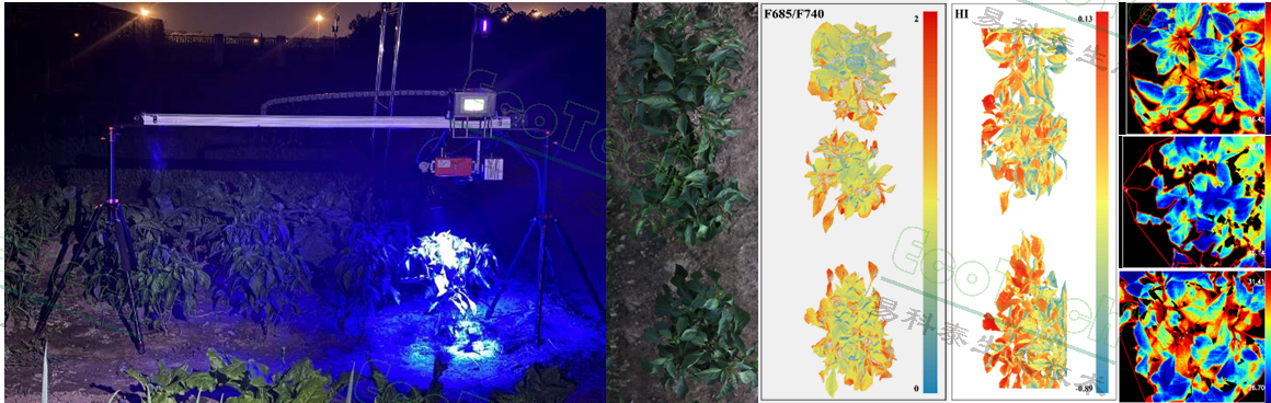 77779193永利官网(集团)有限公司