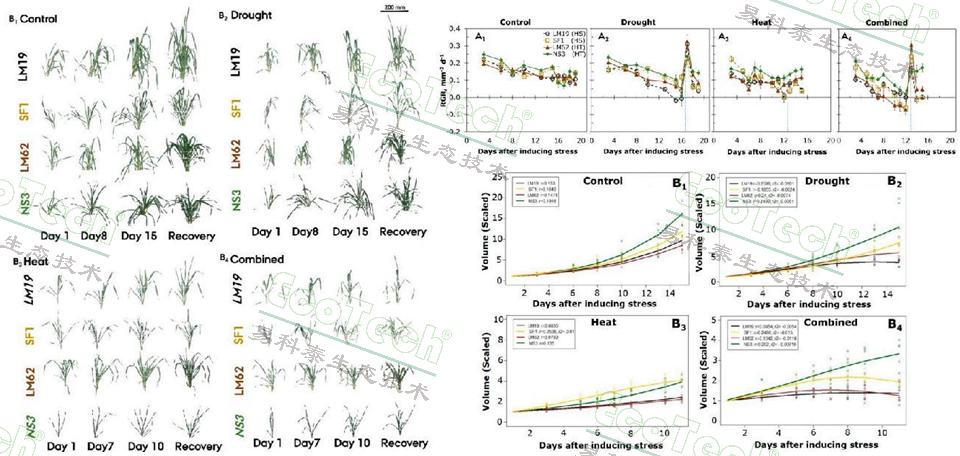 77779193永利官网(集团)有限公司