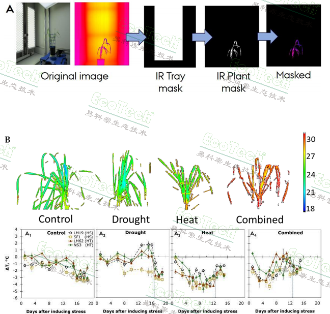 77779193永利官网(集团)有限公司