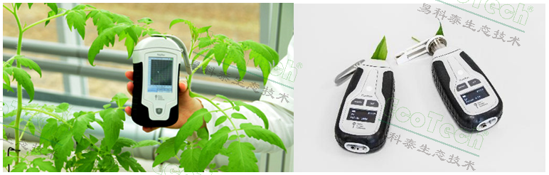 77779193永利官网(集团)有限公司