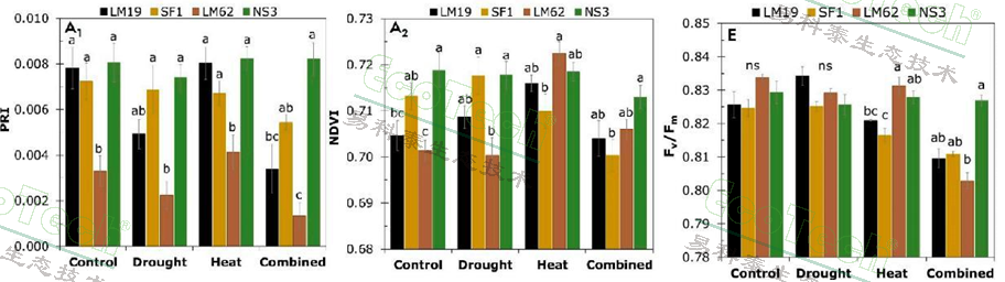 77779193永利官网(集团)有限公司