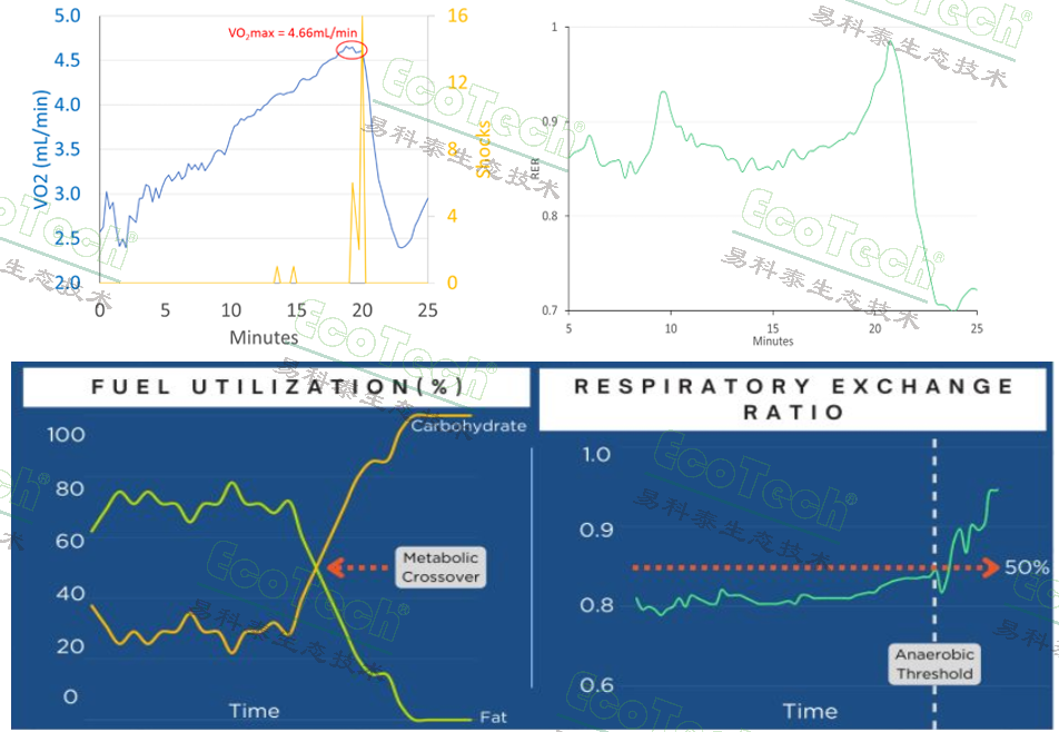77779193永利官网(集团)有限公司
