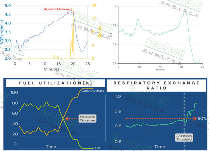 77779193永利官网(集团)有限公司