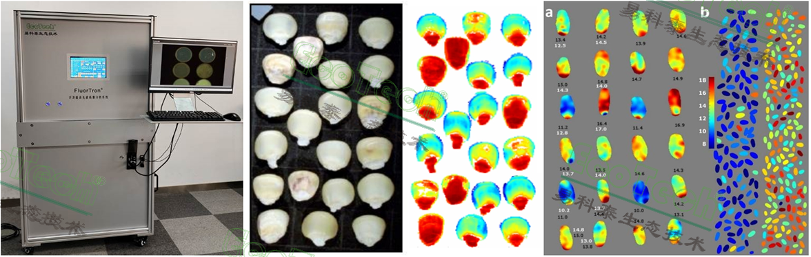 77779193永利官网(集团)有限公司