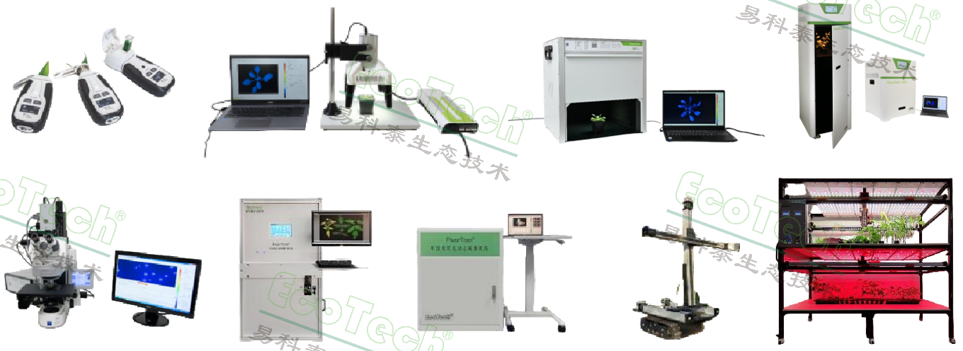 77779193永利官网(集团)有限公司