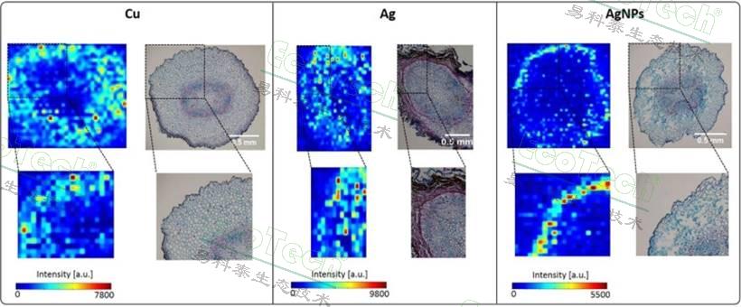 77779193永利官网(集团)有限公司