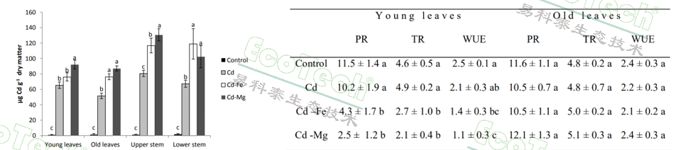 77779193永利官网(集团)有限公司
