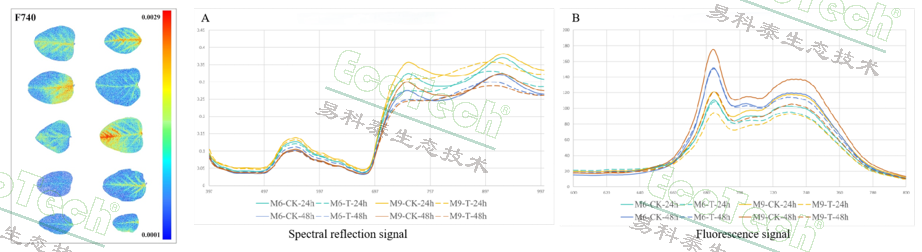 77779193永利官网(集团)有限公司