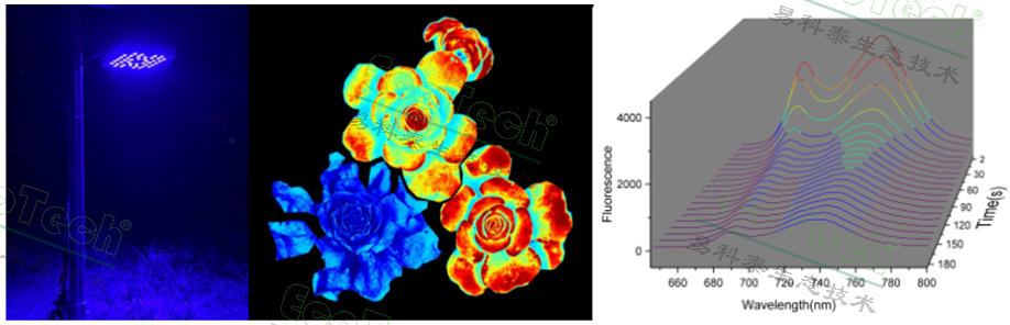 77779193永利官网(集团)有限公司