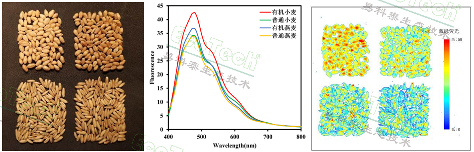 77779193永利官网(集团)有限公司