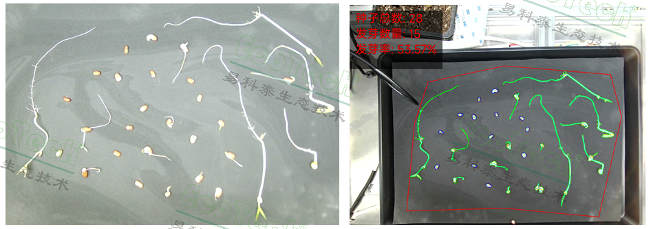 77779193永利官网(集团)有限公司