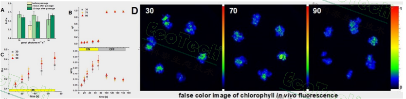 77779193永利官网(集团)有限公司