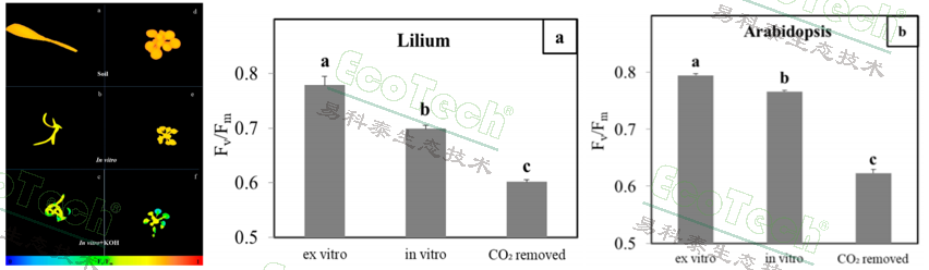 77779193永利官网(集团)有限公司