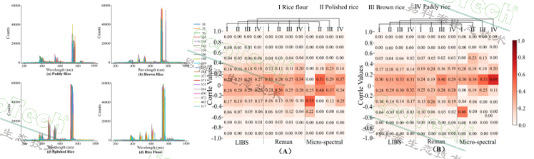 77779193永利官网(集团)有限公司
