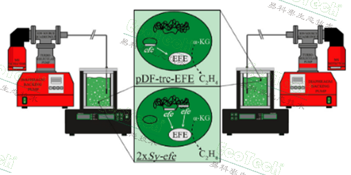 77779193永利官网(集团)有限公司