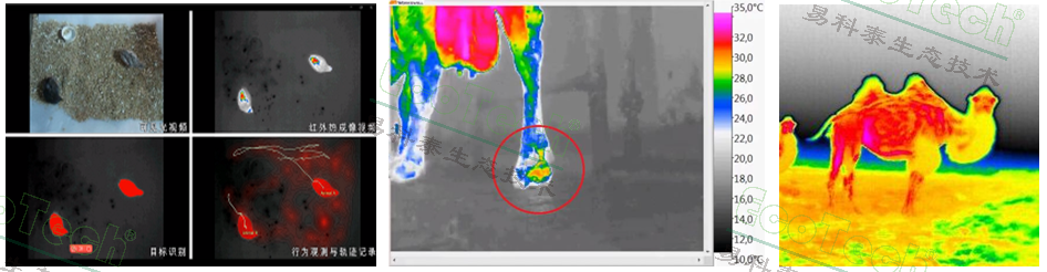 77779193永利官网(集团)有限公司