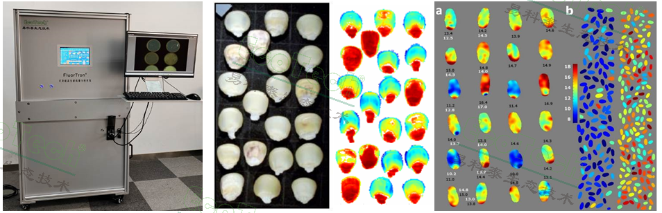 77779193永利官网(集团)有限公司