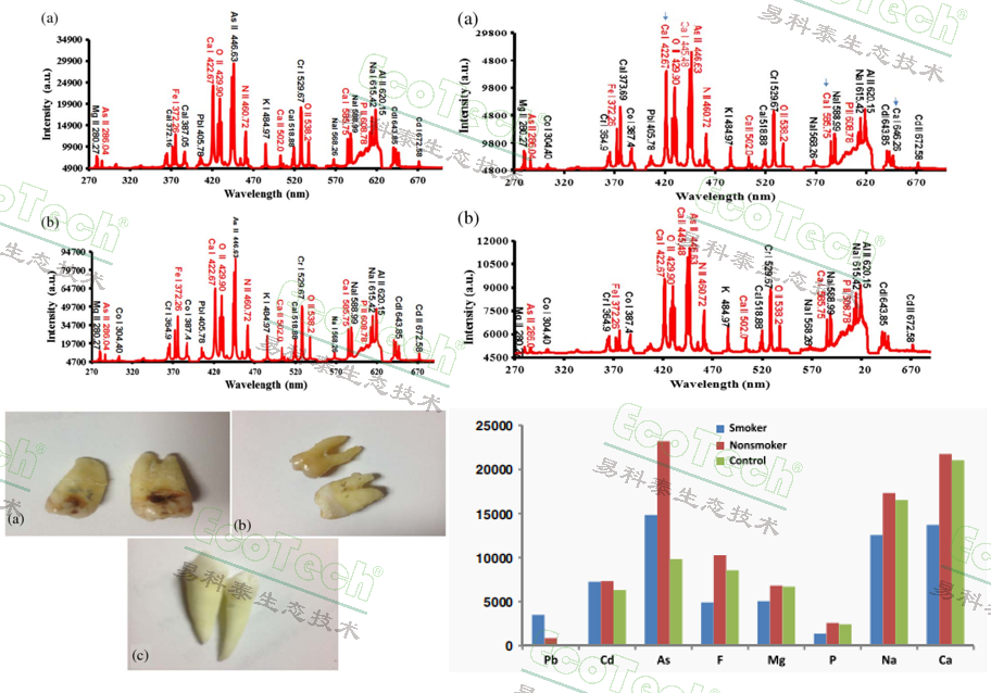 77779193永利官网(集团)有限公司