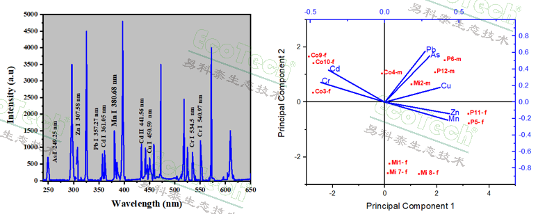 77779193永利官网(集团)有限公司