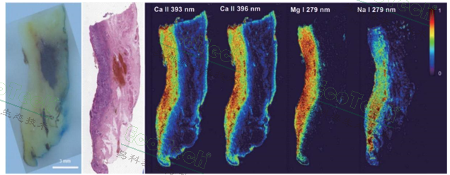77779193永利官网(集团)有限公司