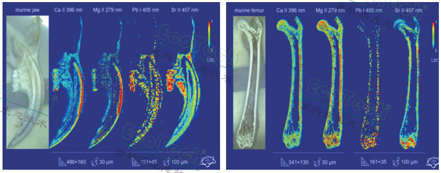 77779193永利官网(集团)有限公司