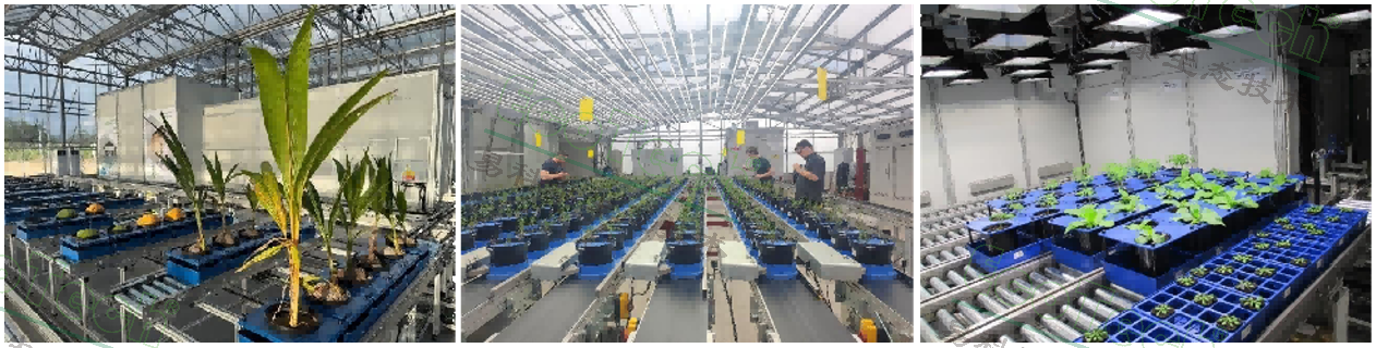 77779193永利官网(集团)有限公司