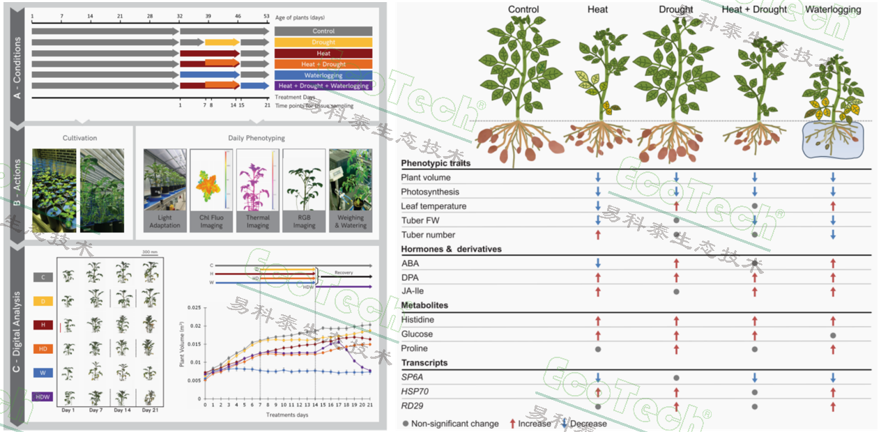 77779193永利官网(集团)有限公司