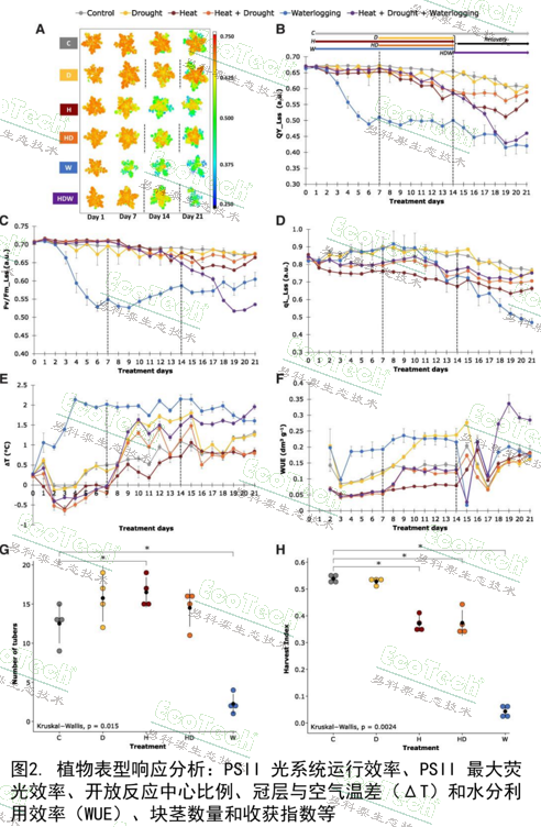 77779193永利官网(集团)有限公司