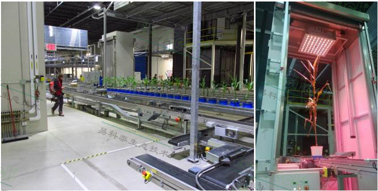 77779193永利官网(集团)有限公司