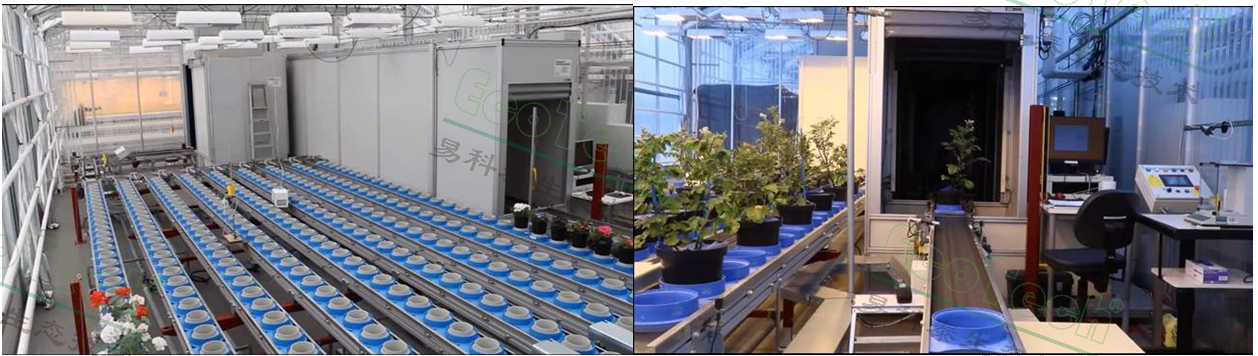 77779193永利官网(集团)有限公司