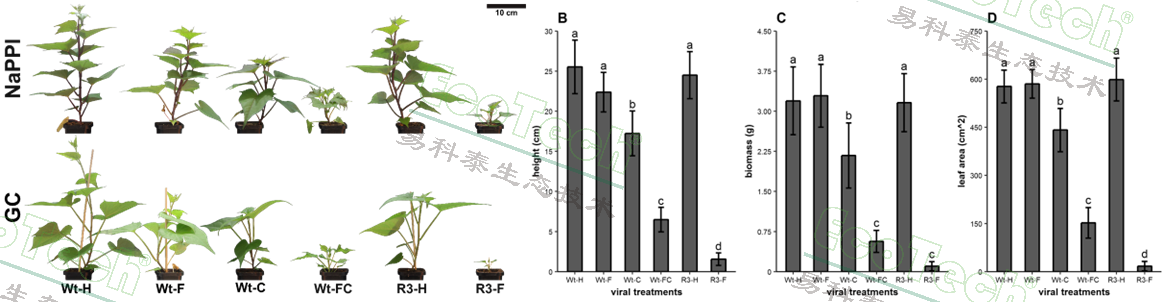 77779193永利官网(集团)有限公司