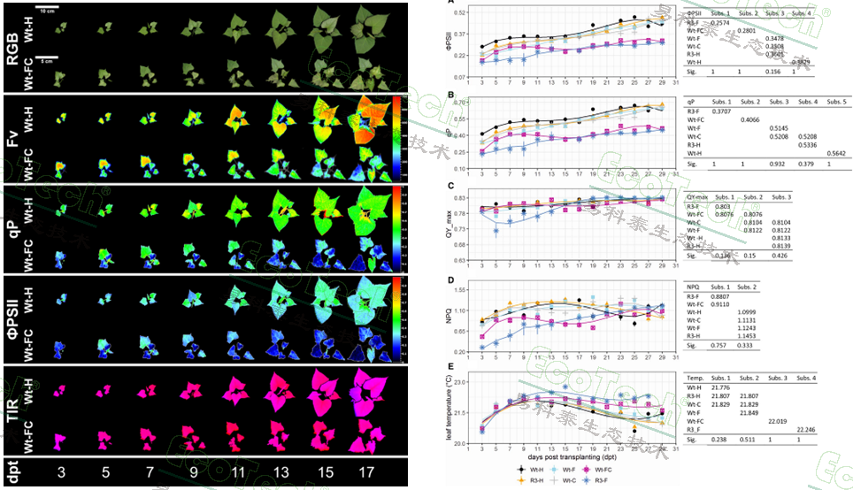 77779193永利官网(集团)有限公司