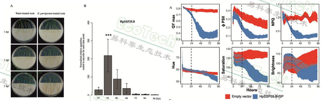 77779193永利官网(集团)有限公司