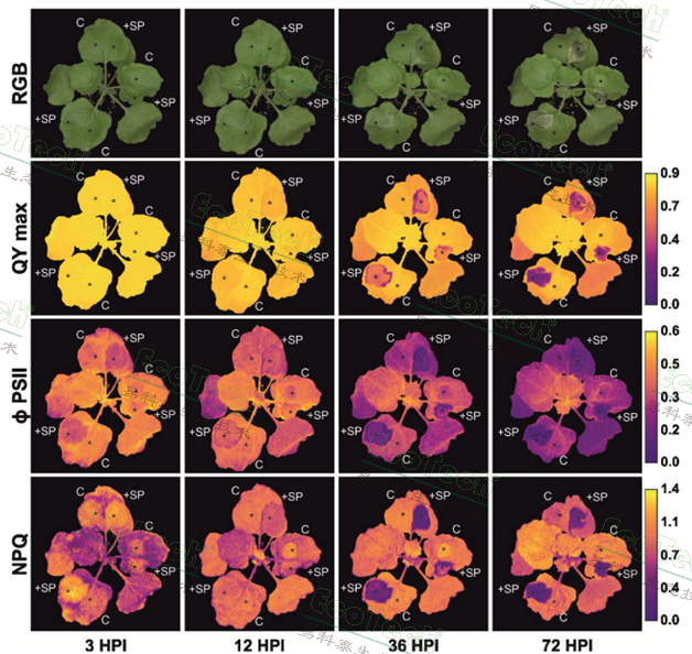 77779193永利官网(集团)有限公司