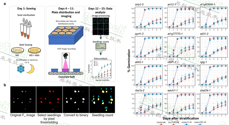 77779193永利官网(集团)有限公司