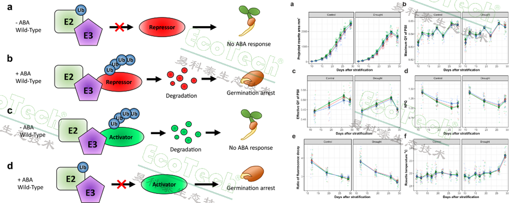 77779193永利官网(集团)有限公司