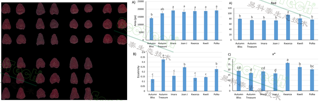 77779193永利官网(集团)有限公司